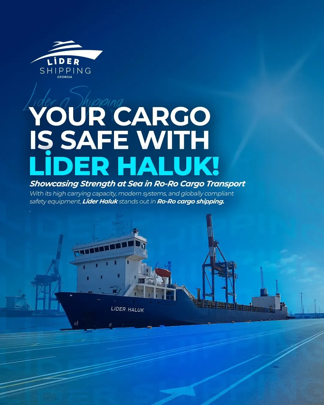 Lider Shipping Georgia Trabzon sosyal medya referansı (Post)
