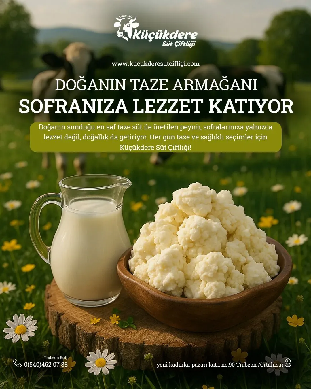 Küçükdere Süt Çiftliği Trabzon sosyal medya referansı (Post)