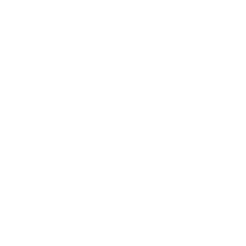 Trabzon sosyal medya kullanımında dikkat çeken bir Reels arka planı